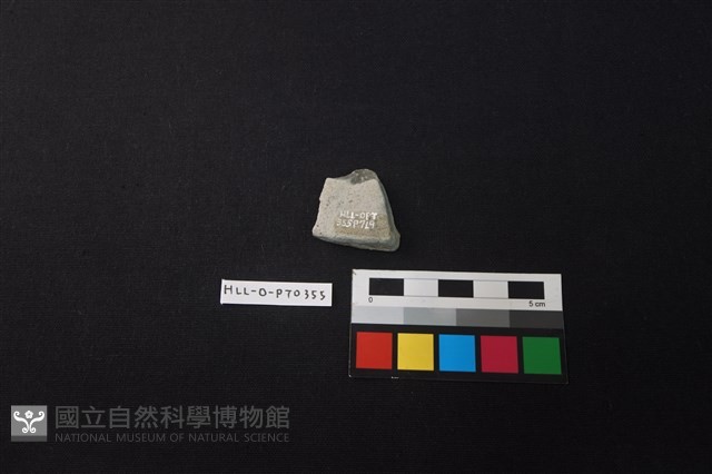 陶片藏品圖，第2張