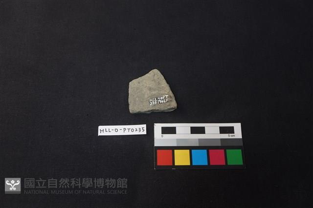 陶片藏品圖，第2張