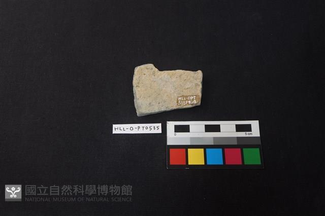 陶片藏品圖，第2張