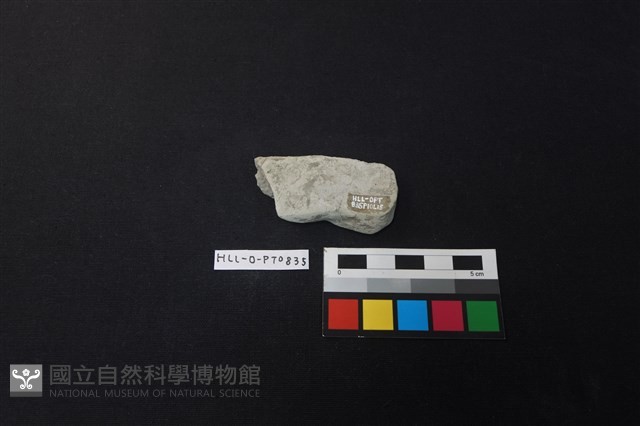陶片藏品圖，第2張