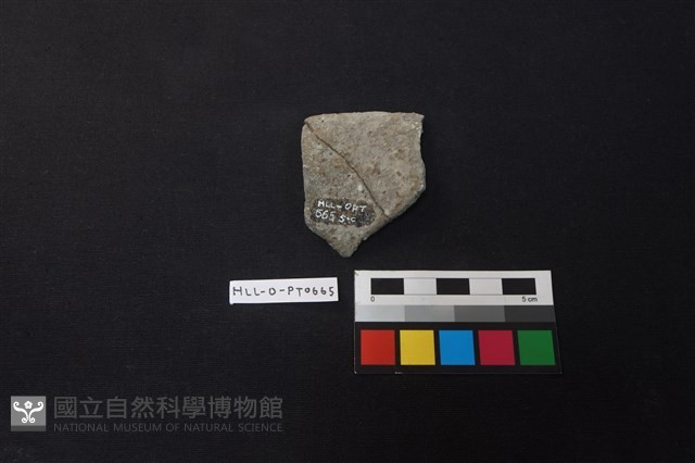 陶片藏品圖，第2張