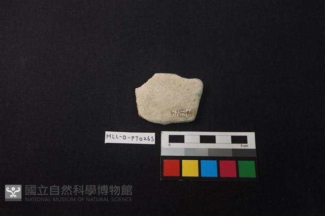 陶片藏品圖，第2張