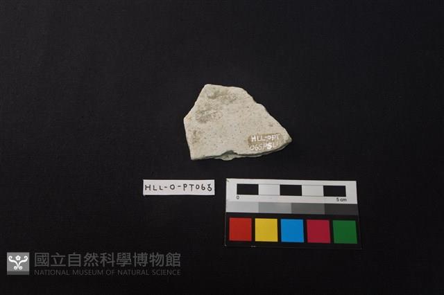 陶片藏品圖，第2張