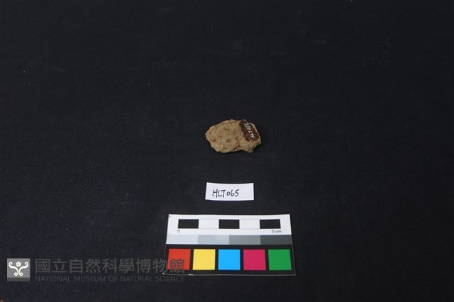 陶片藏品圖，第2張