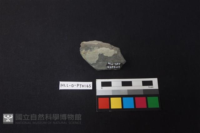 陶片藏品圖，第2張