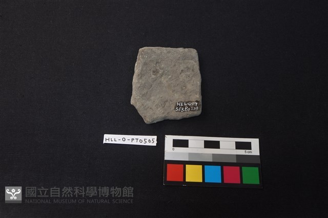 陶片藏品圖，第2張