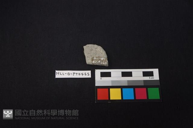 陶片藏品圖，第2張