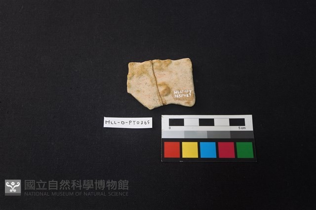 陶片藏品圖，第2張