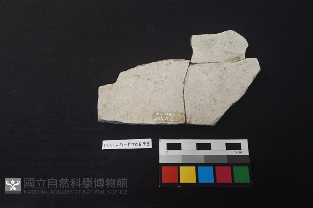 陶片藏品圖，第2張