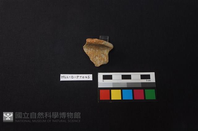 陶片藏品圖，第2張