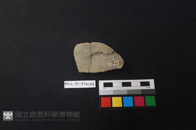 陶片藏品圖，第2張