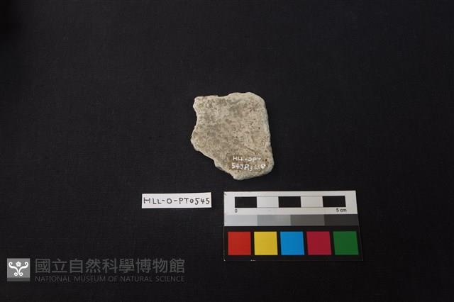 陶片藏品圖，第2張