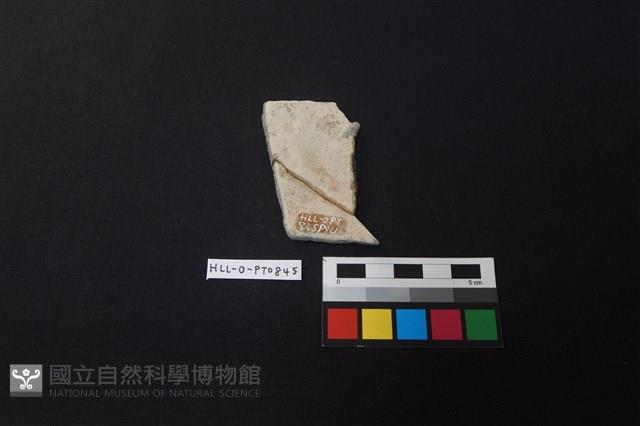 Accession Number:HLL-O-PT0845 Collection Image, Figure 2, Total 2 Figures