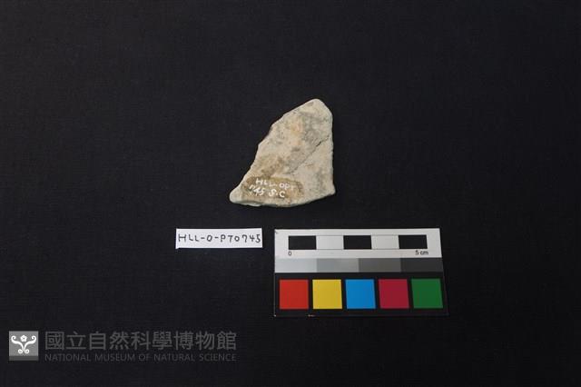 陶片藏品圖，第2張