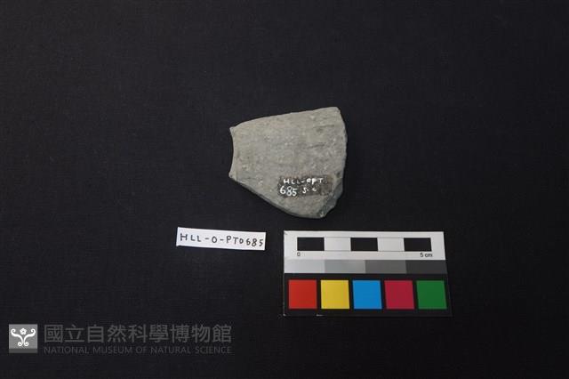 陶片藏品圖，第2張