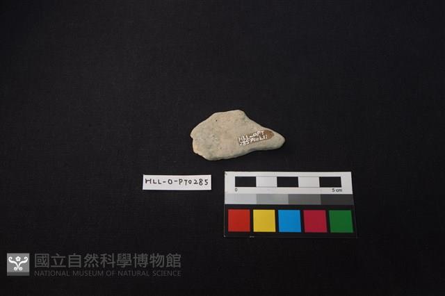 陶片藏品圖，第2張