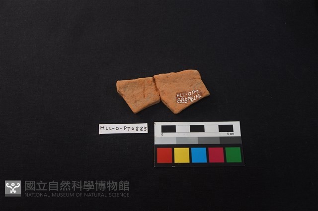 陶片藏品圖，第2張