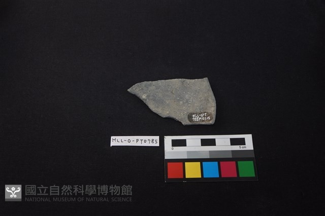 陶片藏品圖，第2張