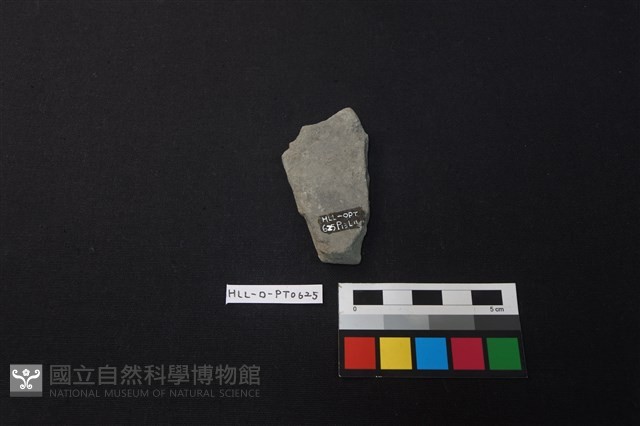 陶片藏品圖，第2張