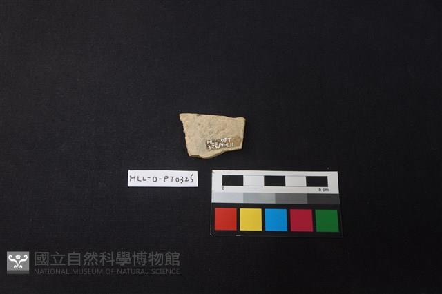 陶片藏品圖，第2張