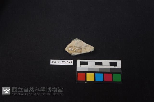 陶片藏品圖，第2張