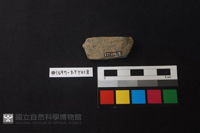 陶片藏品圖，第2張