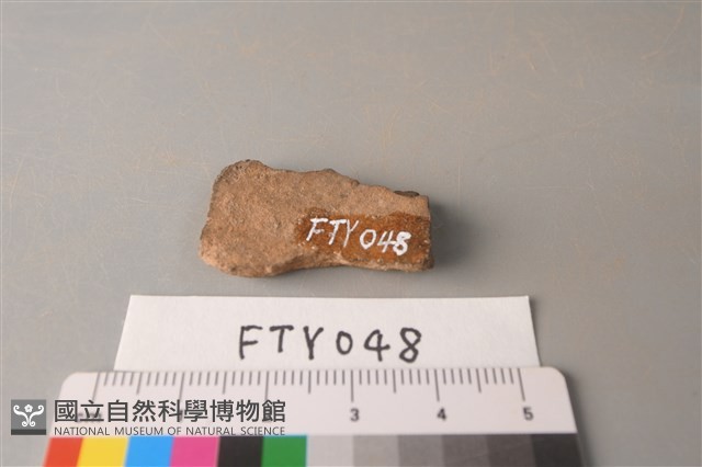 陶片藏品圖，第2張