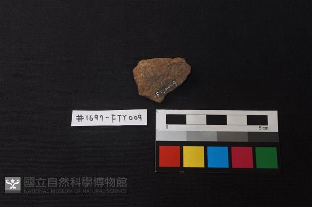 薄石片藏品圖，第2張