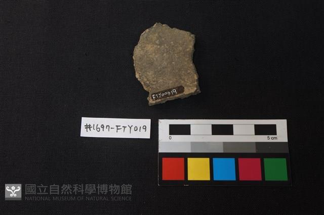 陶片藏品圖，第2張