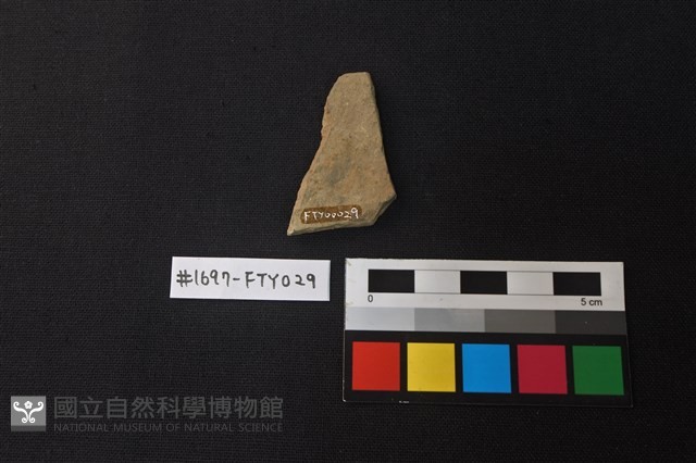 陶片藏品圖，第2張