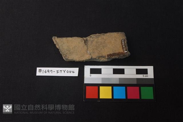 陶片藏品圖，第2張