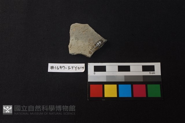 陶片藏品圖，第2張