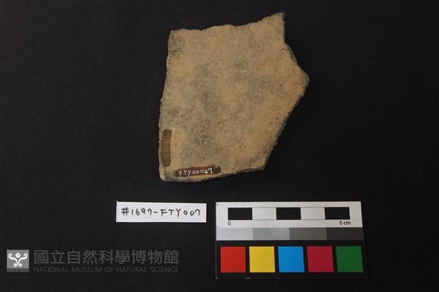 陶片藏品圖，第2張