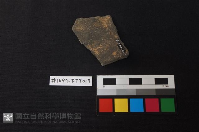 陶片藏品圖，第2張