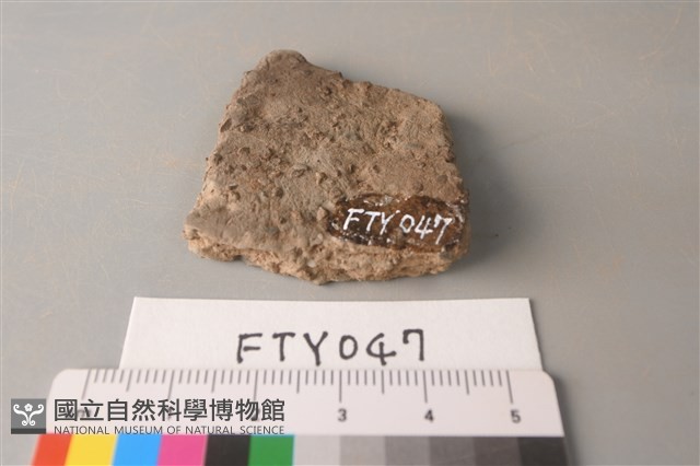 陶片藏品圖，第2張