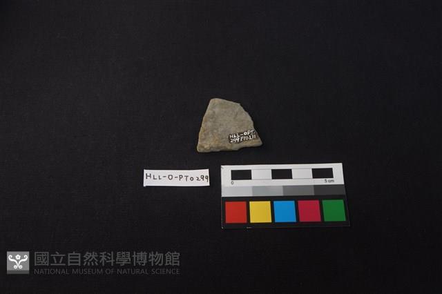 陶片藏品圖，第2張