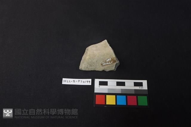 陶片藏品圖，第2張