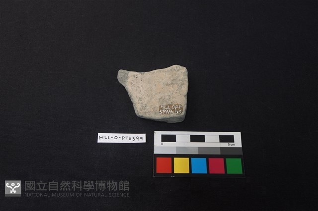 陶片藏品圖，第2張