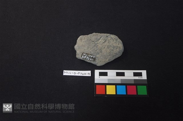 陶片藏品圖，第2張