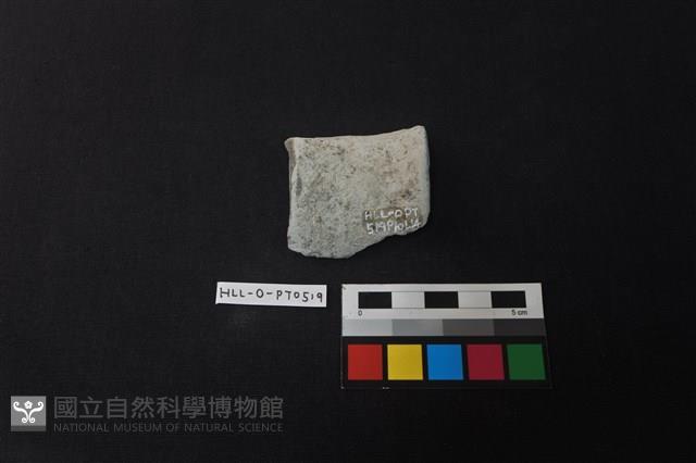 陶片藏品圖，第2張