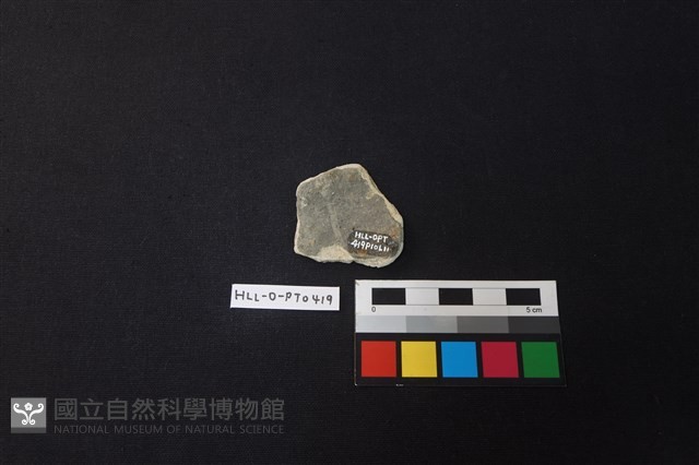 陶片藏品圖，第2張