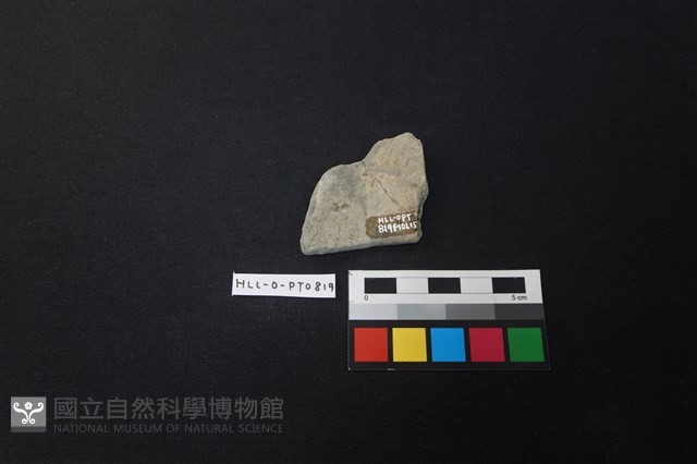 陶片藏品圖，第2張