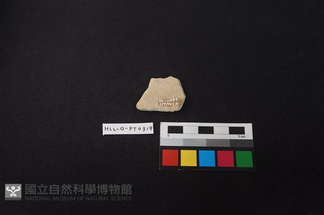 陶片藏品圖，第2張