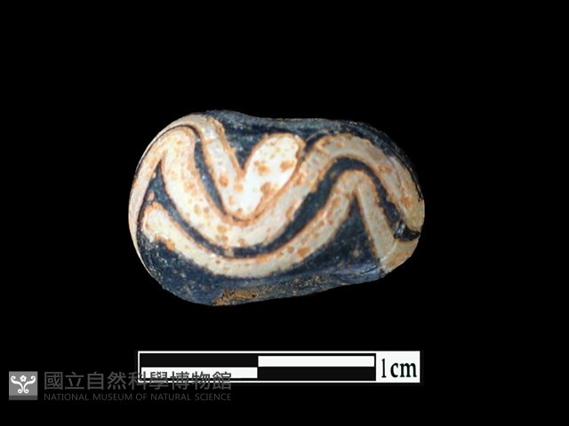 玻璃珠藏品圖，第2張
