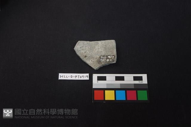 陶片藏品圖，第2張