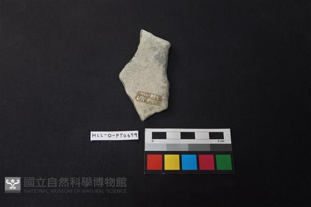 陶片藏品圖，第2張