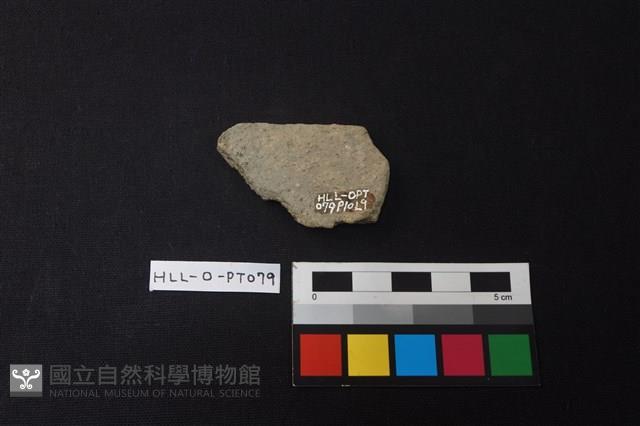 陶片藏品圖，第2張