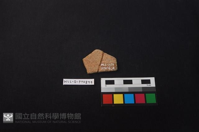 陶片藏品圖，第2張