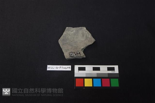 陶片藏品圖，第2張