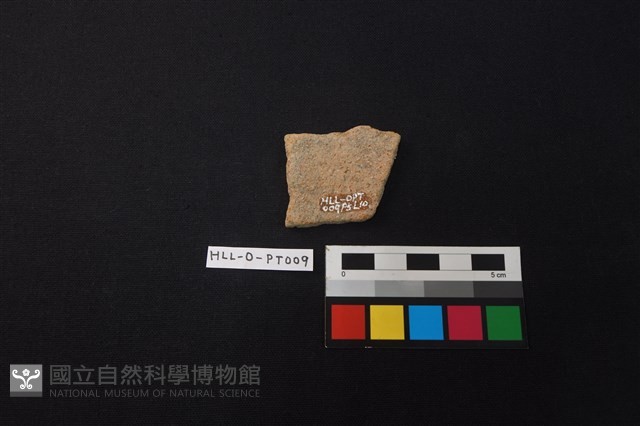 陶片藏品圖，第2張